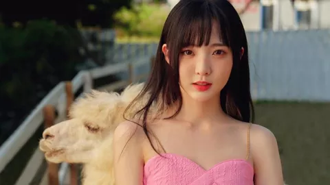 马未都谈南京博物院事件